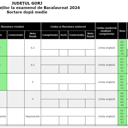 Elev din Gorj a obținut cea mai mică notă la Bacalaureat 2024