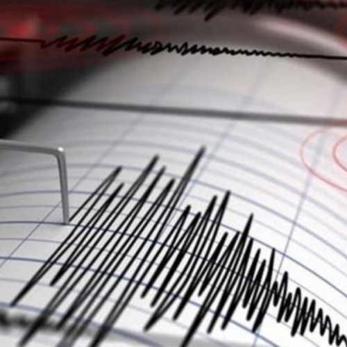 Cutremur de suprafață într-o zonă din România unde se produc rar seisme