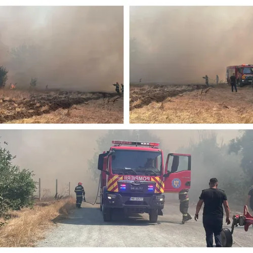 Incendiu de vegetație major în Constanța: 50 de hectare mistuite, 80 de bătrâni evacuați