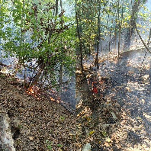 Pompierii gorjeni intervin pentru stingerea unui incendiu de fond forestier în Defileul Jiului