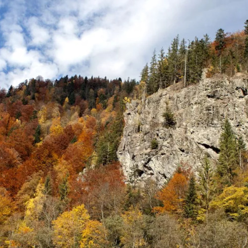 Valea Lotrului atrage atenția turiștilor pentru clima răcoroasă și peisajele spectaculoase