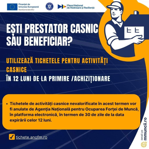 Tichetele de activități casnice, reglementate de ANOFM