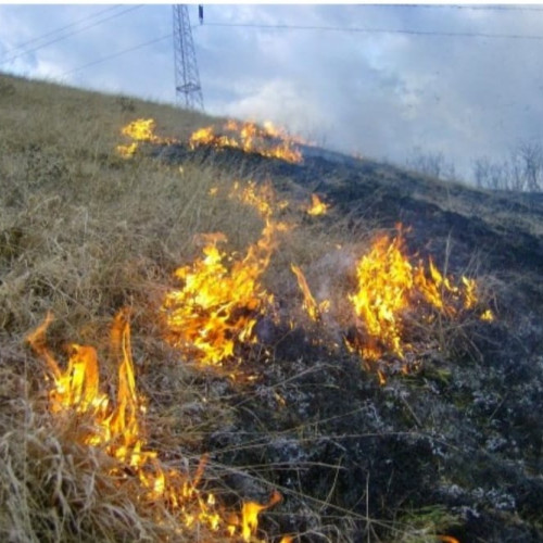 Incendiu de vegetație în comuna Dănești, intervenție din partea ISU Gorj