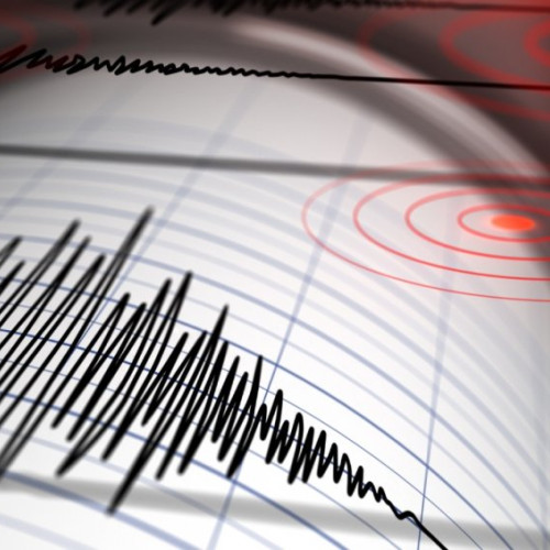 Cutremur mediu în zona seismică Vrancea