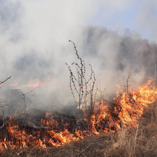 Incendiu devastator în comuna Stoilesti: două gospodării afectate