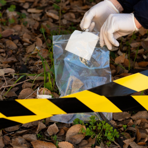 Descoperire macabră în Baia Mare: un bărbat găsit mort pe un teren viran