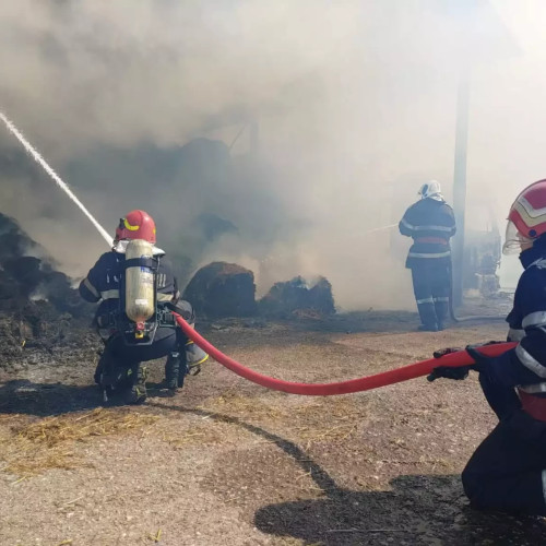 Incendiu de vegetație în localitatea Ionești, pompierii intervin pentru a controla flăcările