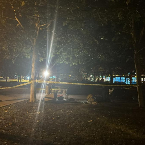 Tânăr de 26 de ani, înjunghiat de cumnat în Parcul Tei, București