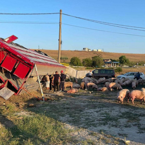 Accident rutier în Olt: Ansamblu de vehicule implicat