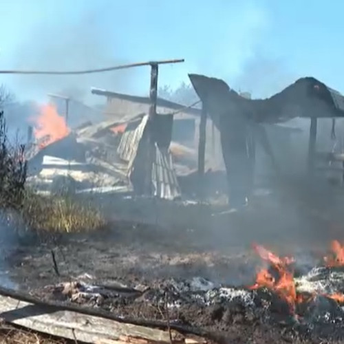 Incendiu de vegetație în comuna Săcelu din județul Gorj