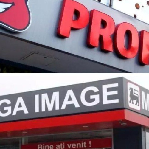 Consiliul Concurenței analizează tranzacția dintre Delhaize și Profi Rom Food