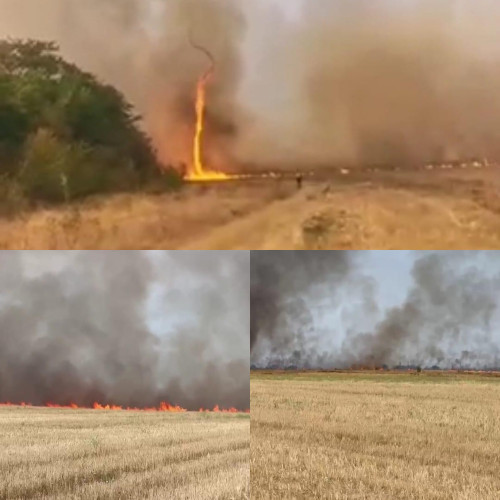 ISU Dolj luptă cu un incendiu de vegetație în apropierea DN 6