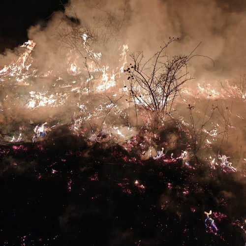 Incendiu de vegetație forestieră în localitatea Runcu