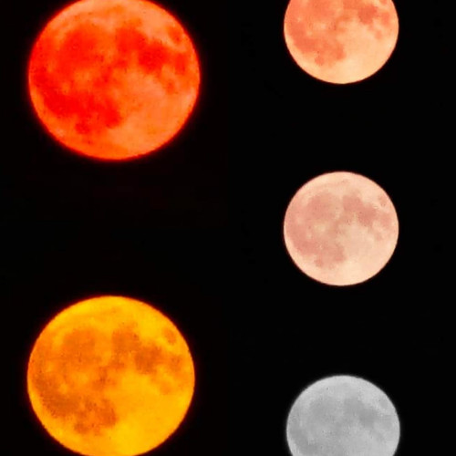 Fenomenul &quot;superluna albastră&quot; vizibil în județul nostru