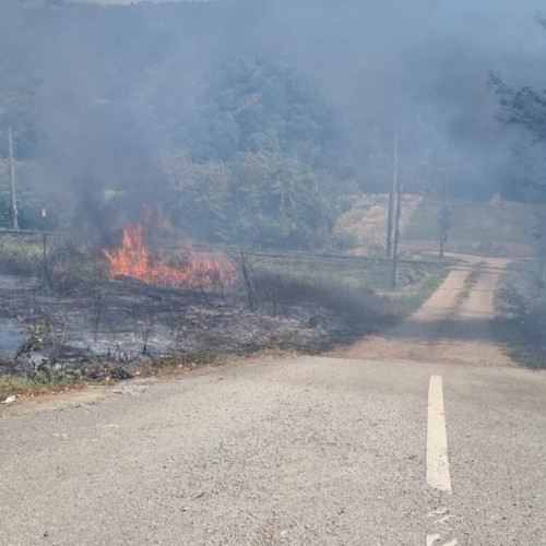 Incendiul de vegetație uscată de pe Valea Cernei a ajuns pe DN 6