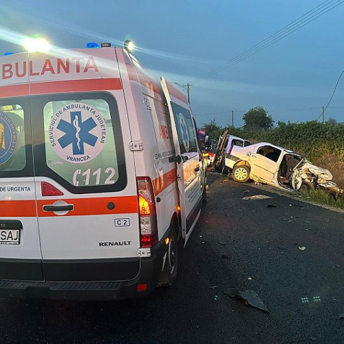 Accident fatal pe DN 2 - E 85, un șofer a decedat