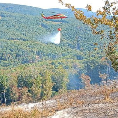 Incendiu de fond forestier la Padeș, intervenție aeriană cu elicopter Black Hawk