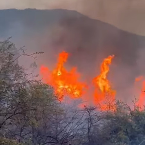 Incendiu puternic de vegetație în localitatea Runcu