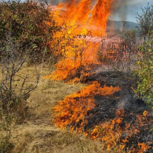 Incendiu de vegetație în zona Runcu, la Băltisoara