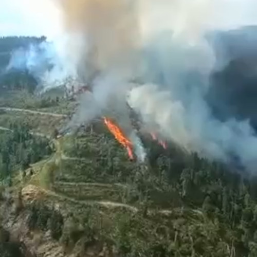 Incendii forestiere în Gorj, intervenție cu elicoptere Black Hawk