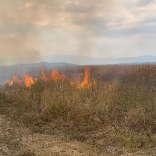 Incendiu de vegetație la Drăguțești, pompierii luptă de ore întregi