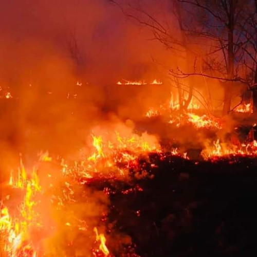 Pompierii din Gorj intervin la un incendiu de vegetație uscată în localitatea Dănești