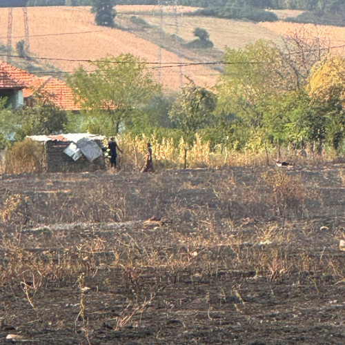 Cel puțin 20 de locuințe salvate din calea flăcărilor la Bengești-Ciocadia