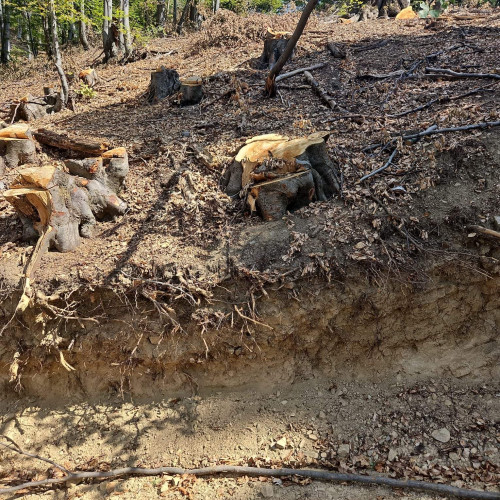 Activitățile din ariile naturale protejate, reglementate de ANANP