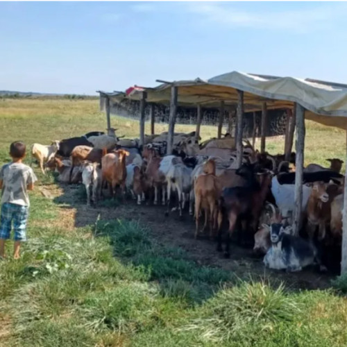 Un băiețel din Olt care își găsește fericirea la școală