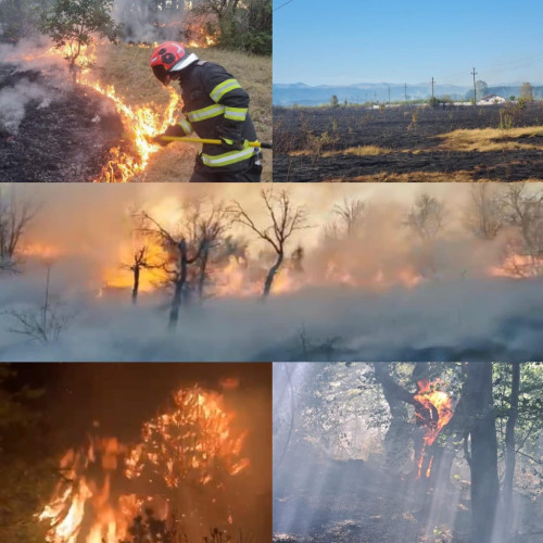 Incendii devastatoare în Gorj: Pompierii au intervenit la 970 de arderi