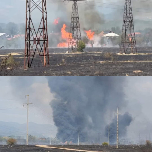 Incendiu de vegetație pe strada Ciocârlău din Tg-Jiu