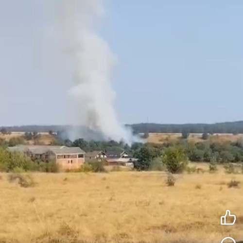 Incendiu de vegetație în localitatea Balta, Runcu