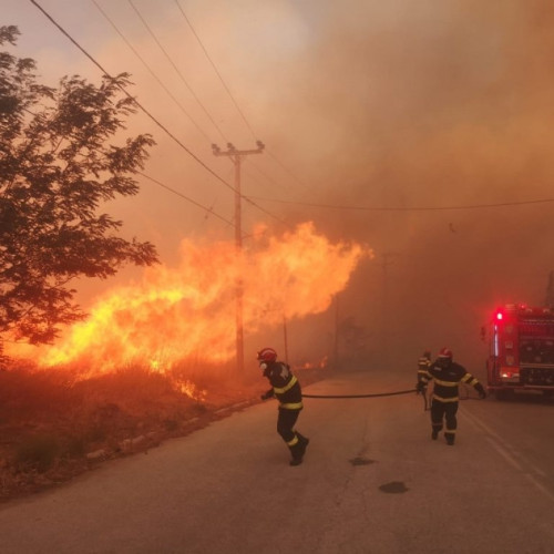 Femeie arestată în Grecia pentru provocarea incendiilor pe terenuri agricole