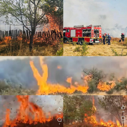 Incendiul de la Balta, Runcu, s-a extins și a cuprins o proprietate