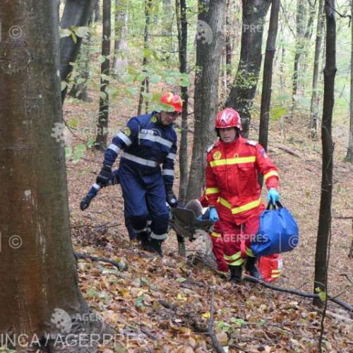 Salvatorii patrupezi din București, în antrenament la Râmnicu Vâlcea