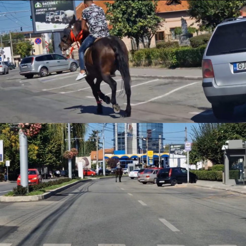 Un bărbat a fost filmat călărind pe bulevardul Ecaterina Teodoroiu din Târgu Jiu