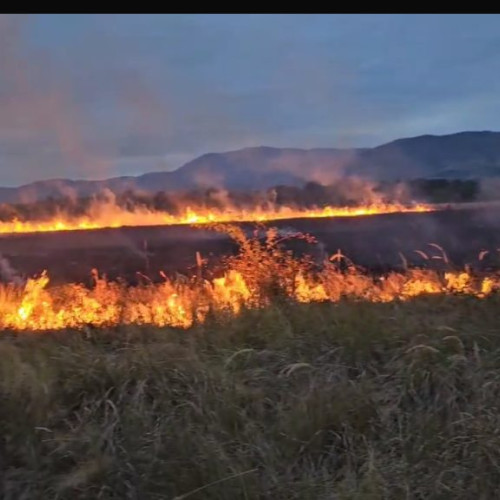 Incendiu de vegetație în zona localității Lelești