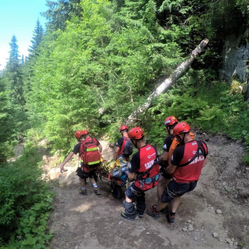 Patru cetățeni ucraineni salvați de salvamontiștii din Maramureș