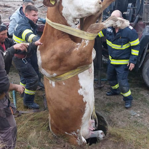 Pericolele canalelor descoperite din stațiunea montană Rânca