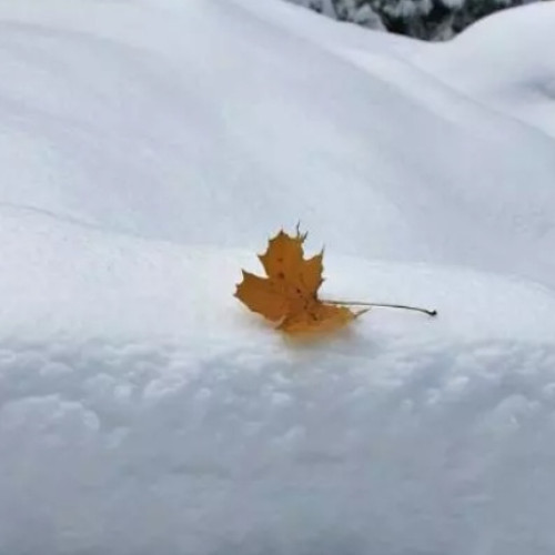 Prognoze meteo: Iarna va fi influențată de La Nina