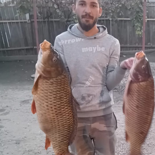 Tânăr din Târgu Jiu prinde crapi de dimensiuni impresionante pe malul Jiului