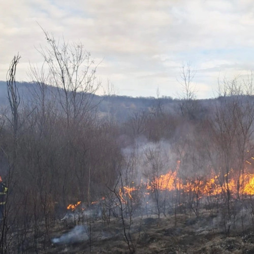 Incendiu de vegetație în Sisesti, pompierii intervin