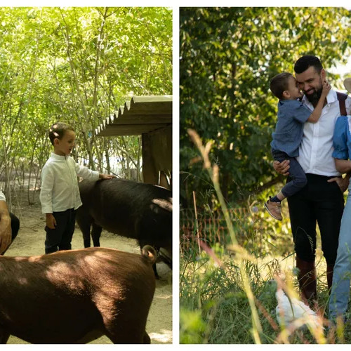 Vlad Mirita își schimbă cariera și devine fermier de succes