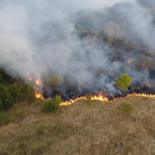 Pompierii intervine pentru stingerea unui incendiu în zona Svinita