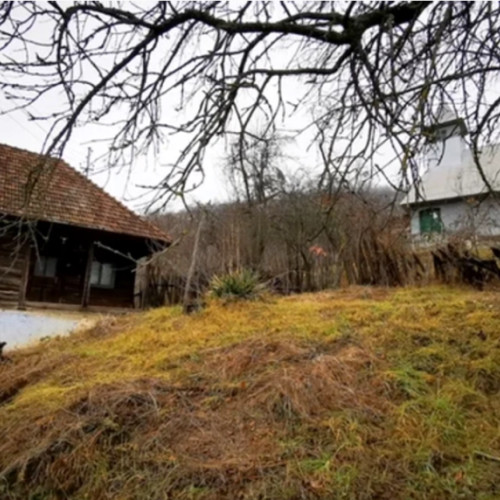 Satul Aranies din comuna Cerbal, Hunedoara: O oază de liniște uitată de lume