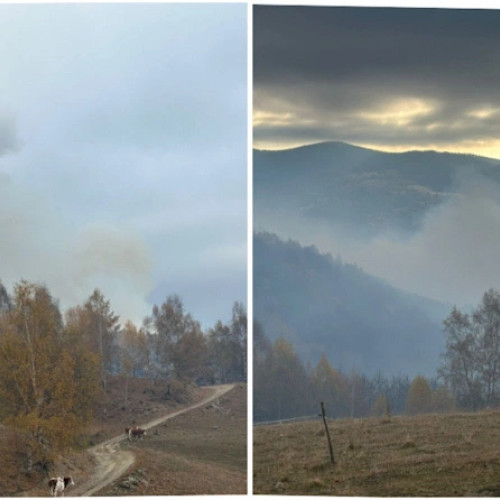 Incendiu de vegetație în Câinenii, județul Vâlcea, afectează peste 40 de hectare