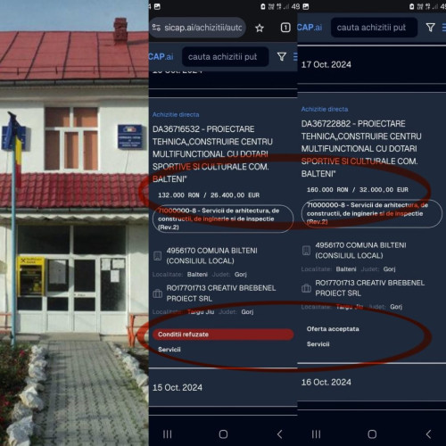 Dana Coanda acuză administrația locală din Bălteni de nereguli financiare