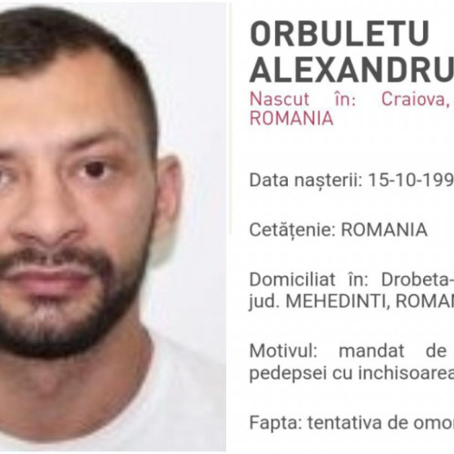 Craiovean adus din SUA pentru a-și ispăși pedeapsa de șapte ani de închisoare