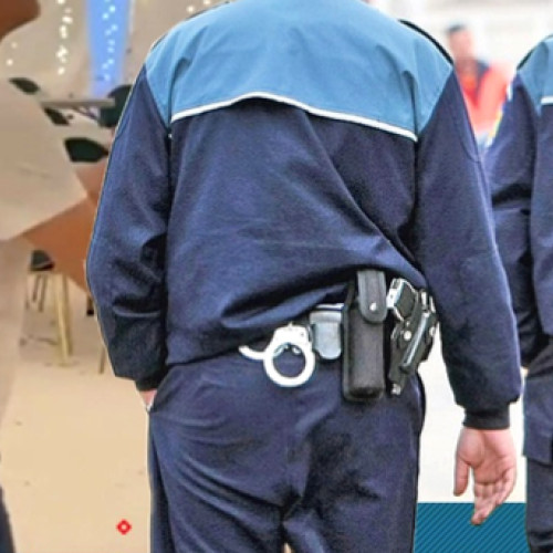 Politia din Gorj investighează un incident cu o replică de pistol la o petrecere din Târgu Jiu