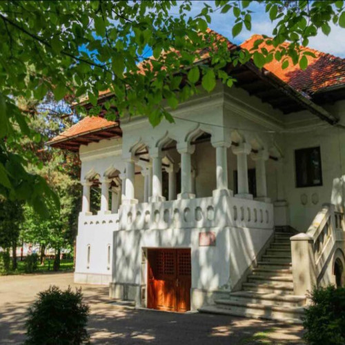 Muzeul Național &quot;Constantin Brâncuși&quot; din Târgu Jiu, în proces de restaurare